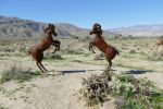 PICTURES/Borrega Springs Sculptures - Horses, Sheep & Camel/t_P1000410.JPG